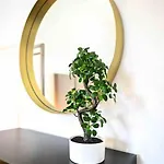 Lejlighed Moderne In Ruhiger Umgebung Nahe Messe Berlin