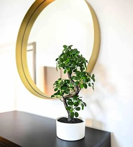 Apartamento Moderne In Ruhiger Umgebung Nahe Messe Berlín